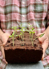 Load image into Gallery viewer, GROWBARS - 6 Varities