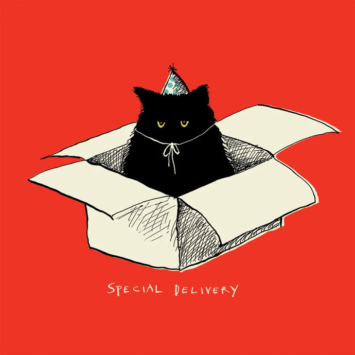 Special Cat Delivery