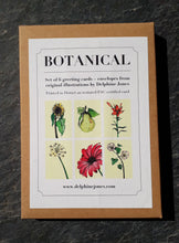 Load image into Gallery viewer, Delphine Jones Card Pack