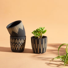 Load image into Gallery viewer, Black &amp; White Small Planter Pots -Set of 3