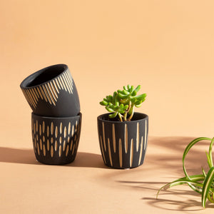 Black & White Small Planter Pots -Set of 3