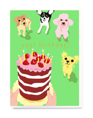 Doggie Treats