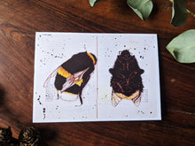 Load image into Gallery viewer, Delphine Jones Card Pack