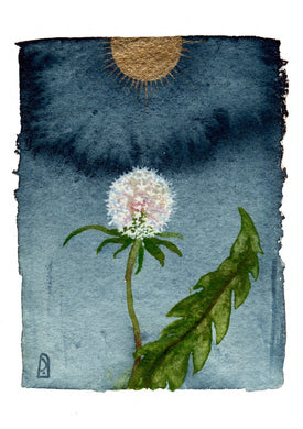 Golowmor Dandelion Print