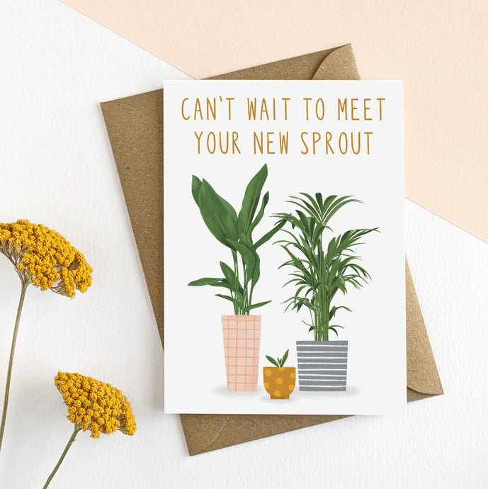 New Sprout