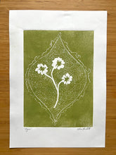 Load image into Gallery viewer, Ogee