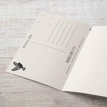 Load image into Gallery viewer, Gladiolus - August