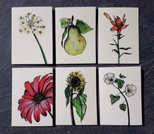 Load image into Gallery viewer, Delphine Jones Card Pack