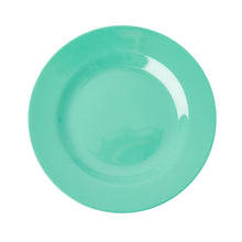Load image into Gallery viewer, Melamine Dinner Plate
