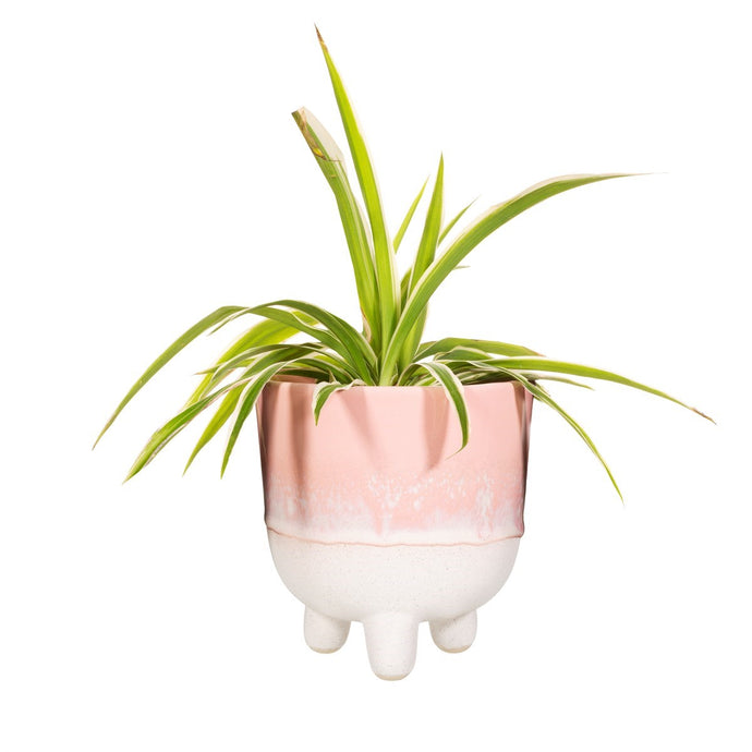 Mojave Glaze Planter Pot - Medium