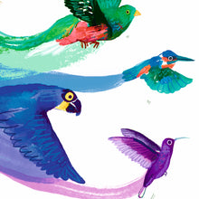 Load image into Gallery viewer, Rainbow Bird Print