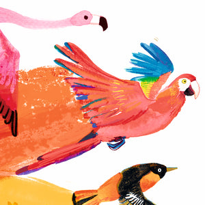 Rainbow Bird Print