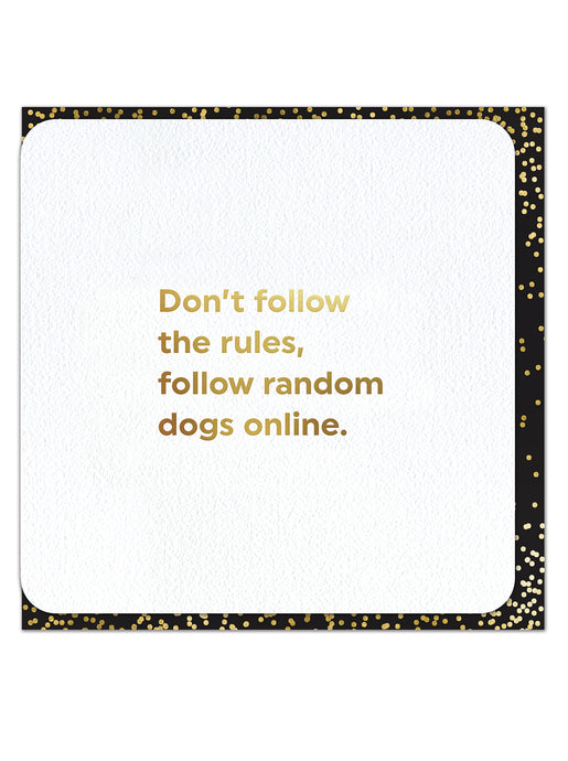 Follow Random Dogs