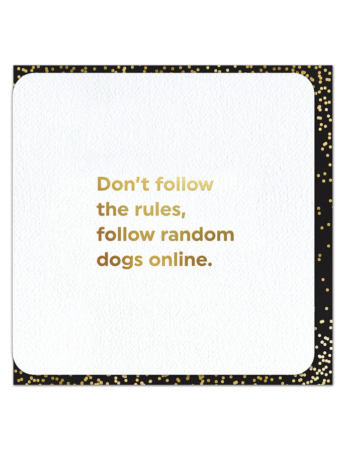 Follow Random Dogs