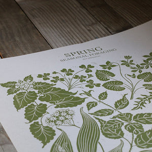 Spring - Seasonal Plants Poster