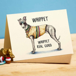 Whippet Real Good