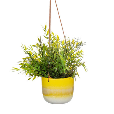 Hanging Planter - Yellow Mojave